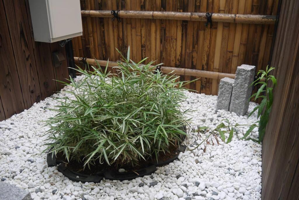 京都東寺えむず庵 * 京都市